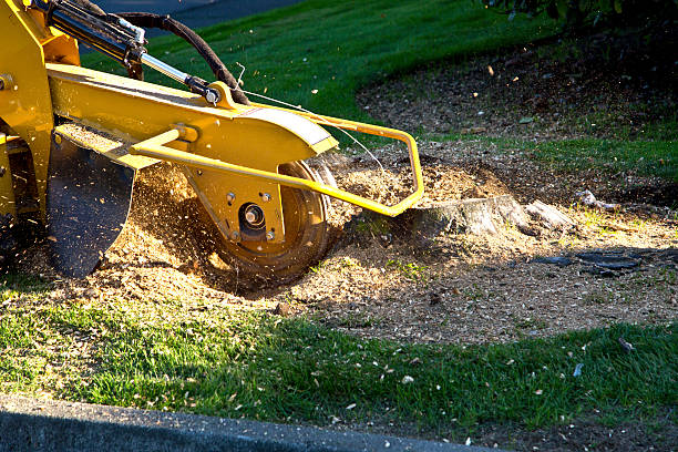 Soil Testing and Treatment in Suffern, NY